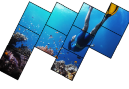 Userful Artístico 5