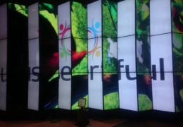 Userful Artístico 7